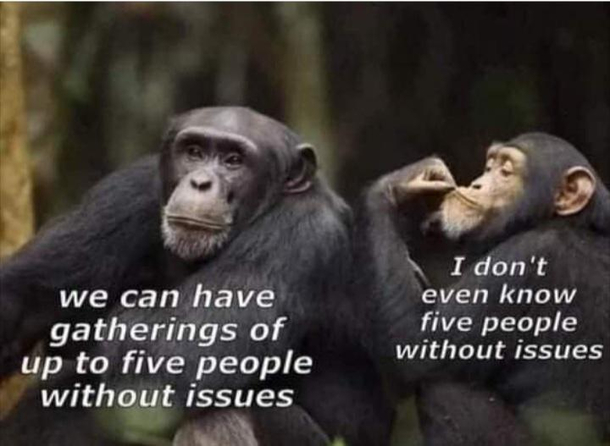 Sad but true