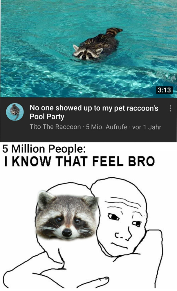 Sad Racoon
