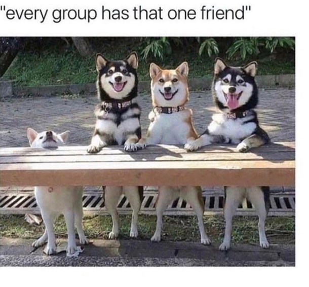 Sadly Im that one friend