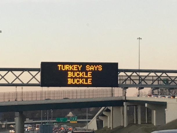 Safety conscious turkey