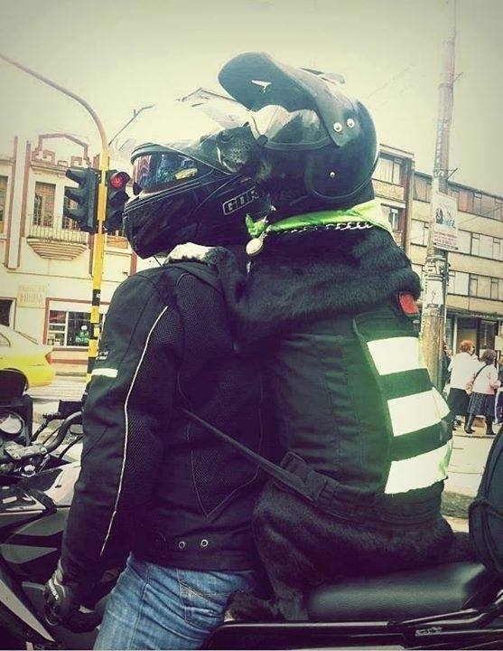 Safety first