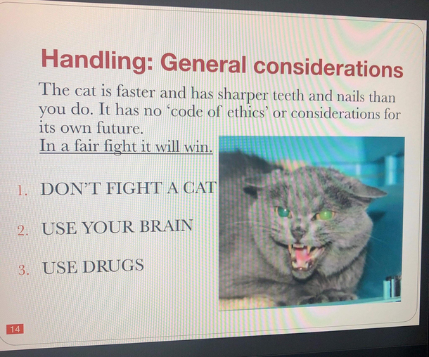 Sage wisdom to live by