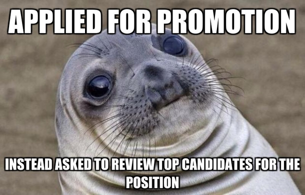 Said they forgot I even applied