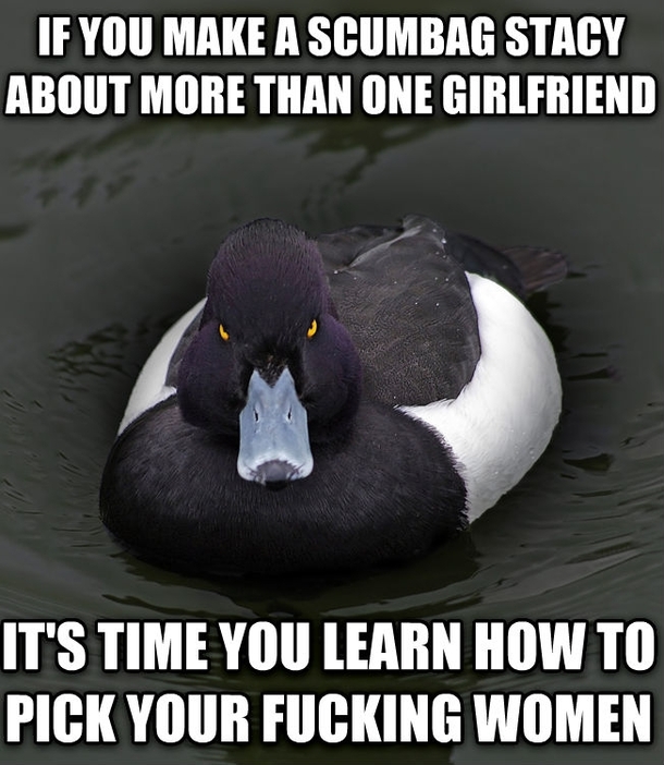 Same goes for boyfriend related Scumbag Steves