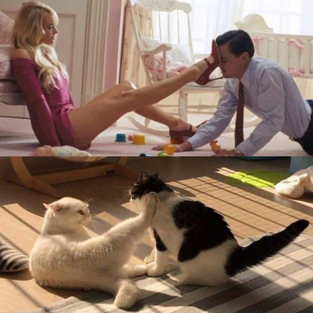 Same same but different