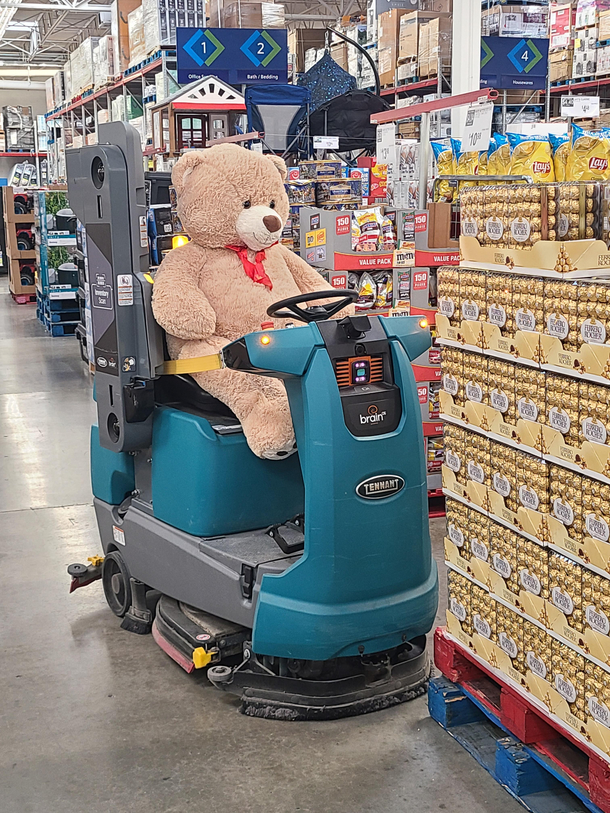 Sams Club must be bearly hanging onto staff