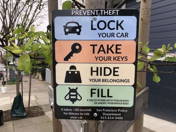 San Francisco officials recommend using angry poisonous bees to prevent car break-ins
