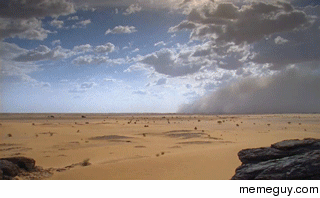Sand Storm 