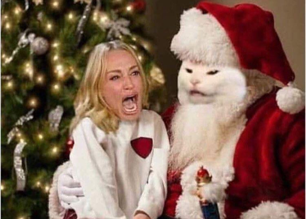 Santa Paws