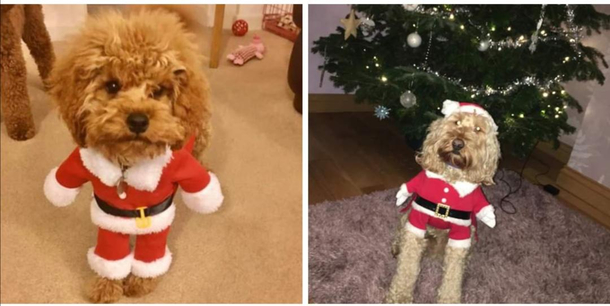 Santas taken a stretch