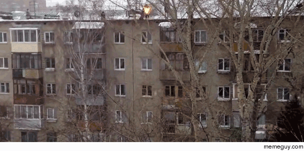 Sanya a teen from Barnaul a city in the West Siberian Plain set himself on fire jumped from the top of a building into the snow below stood up and said that was cool