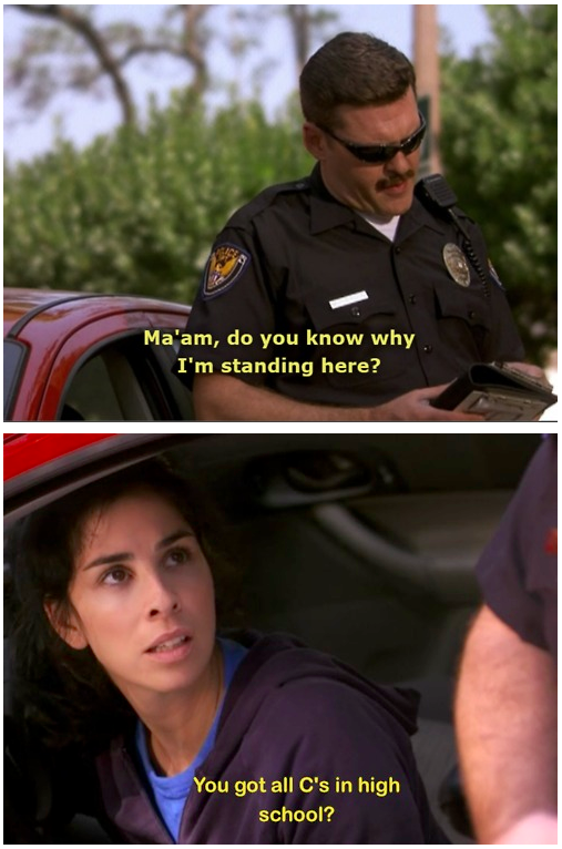 Sarah Silverman Knows How To Manage A Traffic Stop