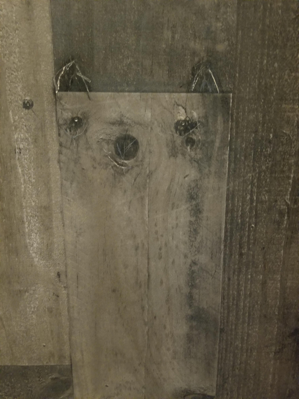 Sassy sloth staring at me in the bathroom