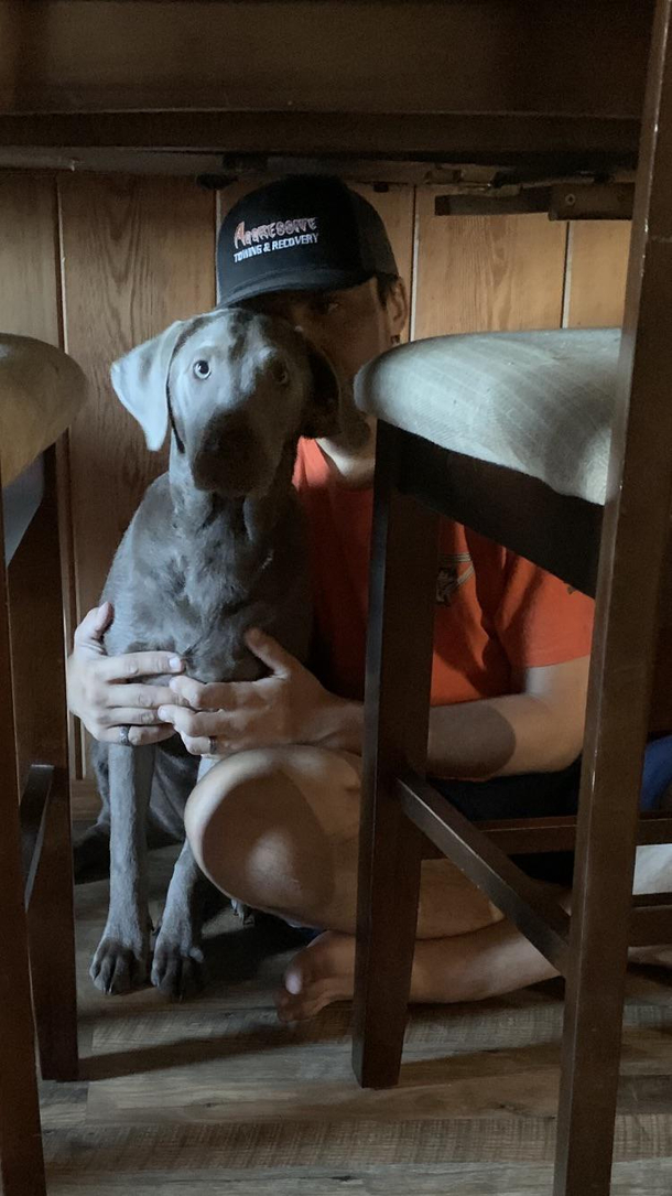 Sat under the table as a joke Pup thought I was in trouble and came to comfort me