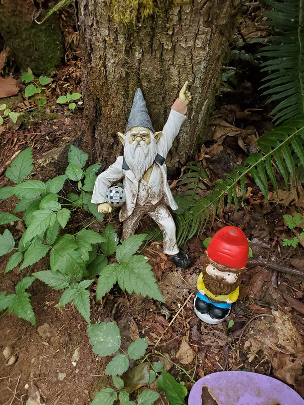 Saturday Gnome Fever
