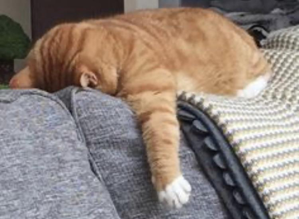 Saturday hangover