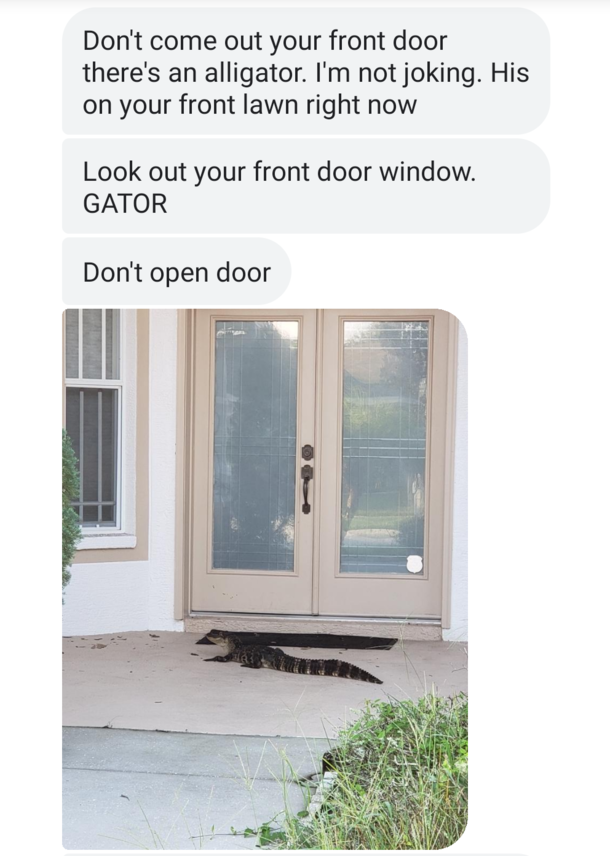 Saturday morning I got a text from my neighbor