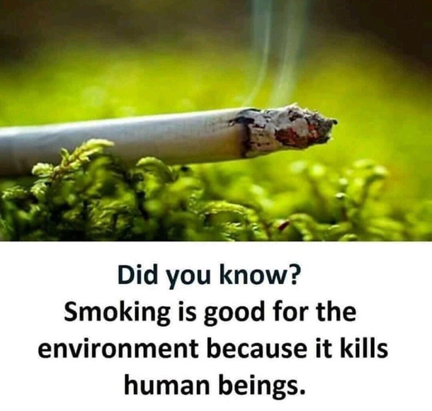 Save a tree smoke a cig