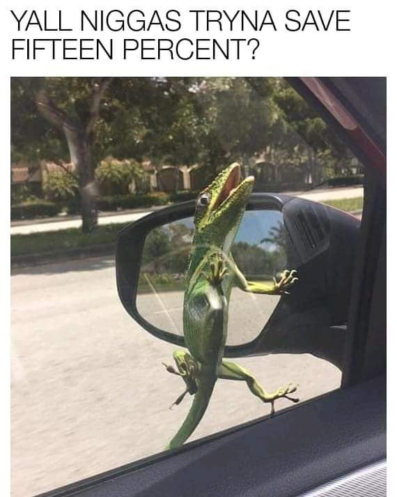 Save  percent