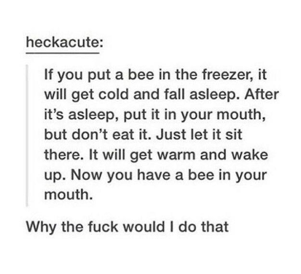 Save the bees
