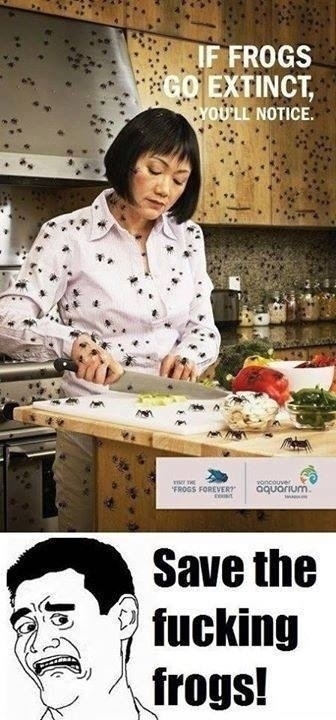 Save the frogs