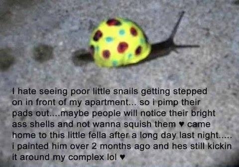 Save the snails