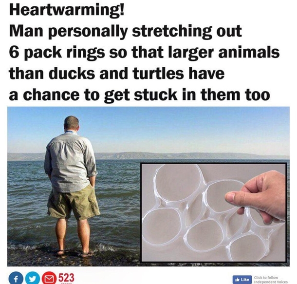 Save the turtles
