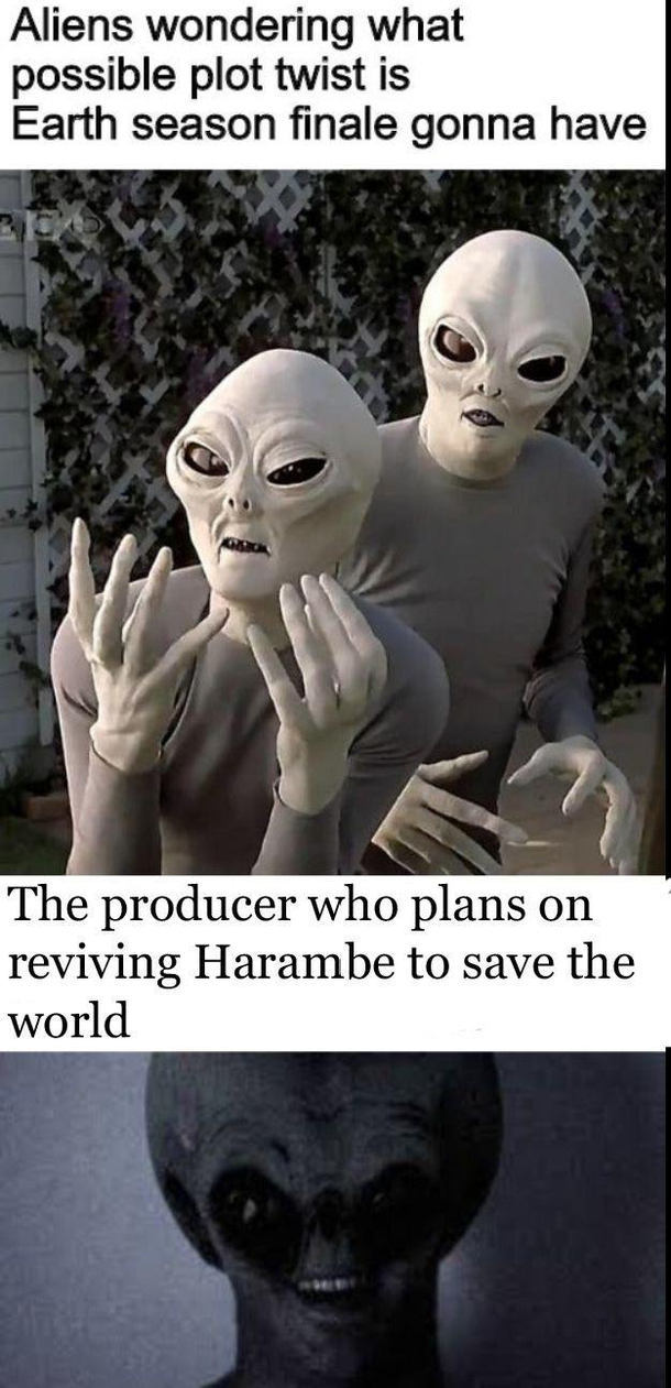 Save us Harambe youre our only hope