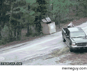 Saving bear cubs