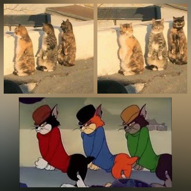 Saw a post earlier with this  cats i knew they were familiar to me