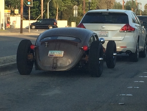 Saw a squashed bug today