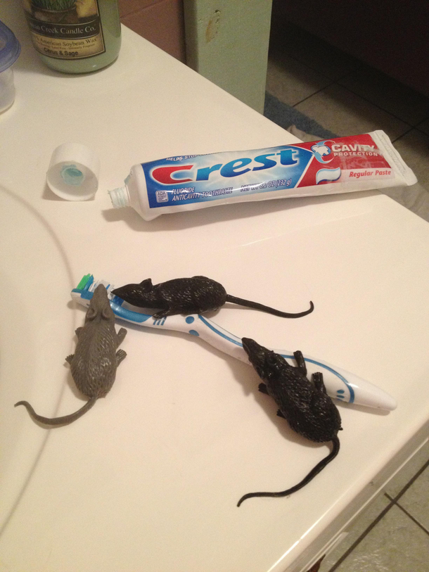 Saw my son left his toothbrush etc on the sink along with his rubber rats for some reason thought Id stage a little surprise