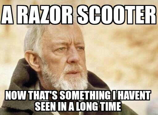 Saw one on campus this morning
