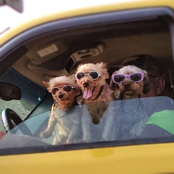 Saw these guys on my way to work today