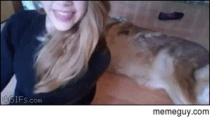 Saw this and have been watching it for an hour straight