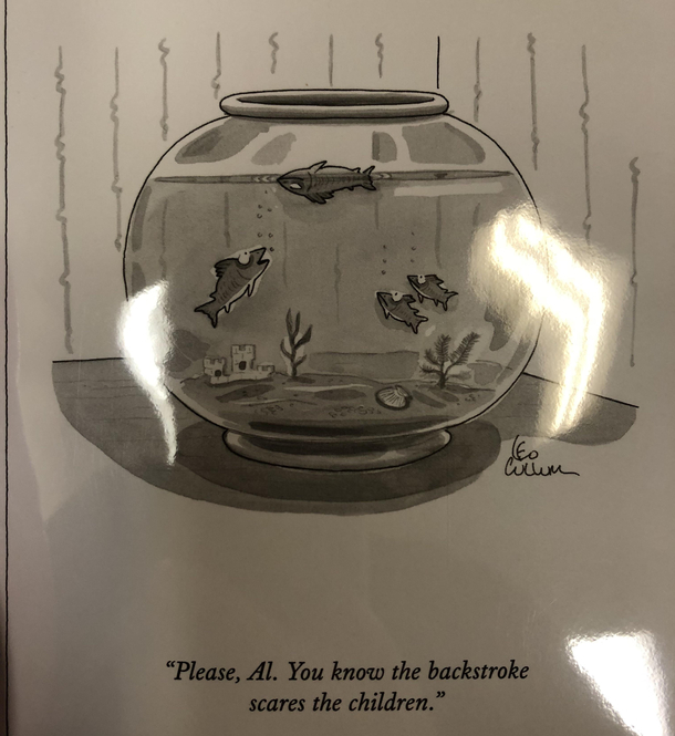 Saw this at a local book shop