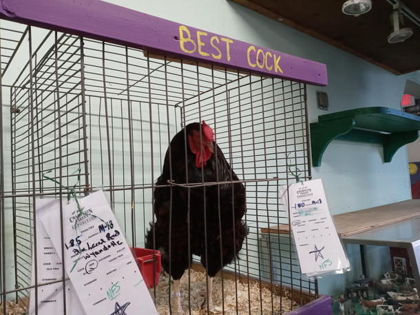 Saw this at my local fair