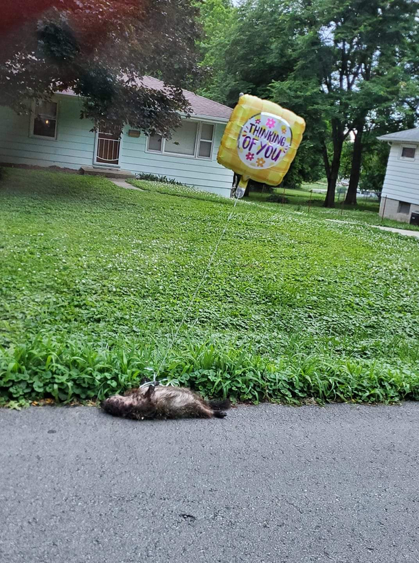 Saw this down the street this afternoon Wtf
