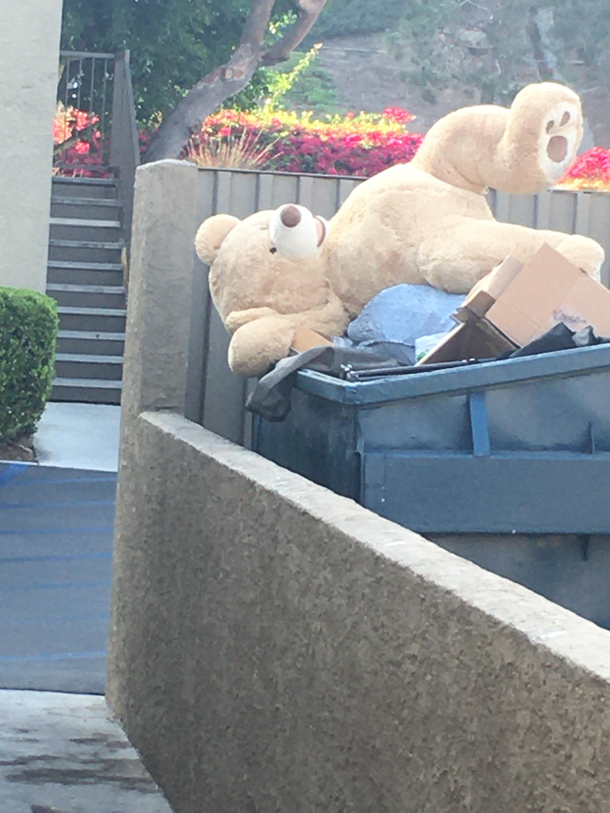 Saw this guy chilling at the trash