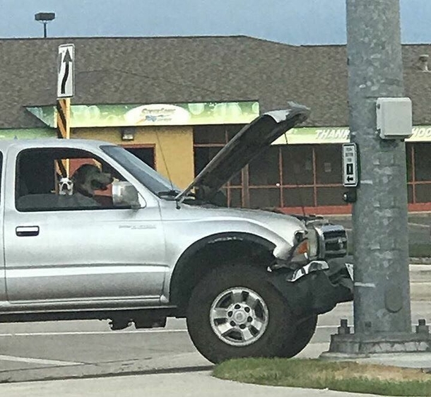 Saw this guy on the way to work this morning Hes in a ruff spot