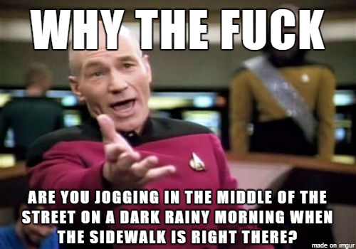Saw this guy this morning
