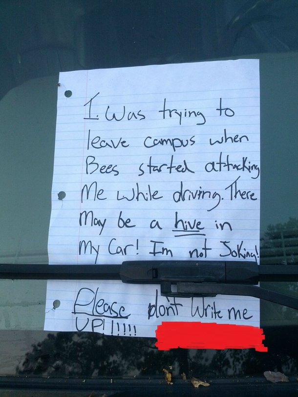 saw this in a restricted parking lot at my university