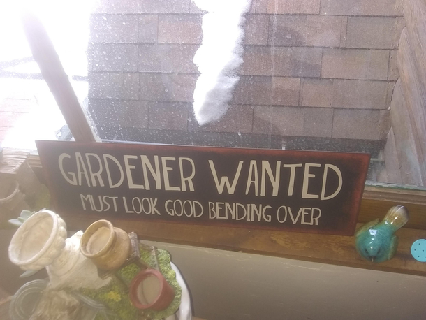 Saw this in the store
