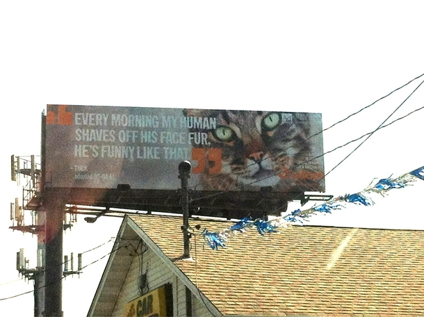 Saw this on a billboard in my town it made me laugh Thought reddit would enjoy