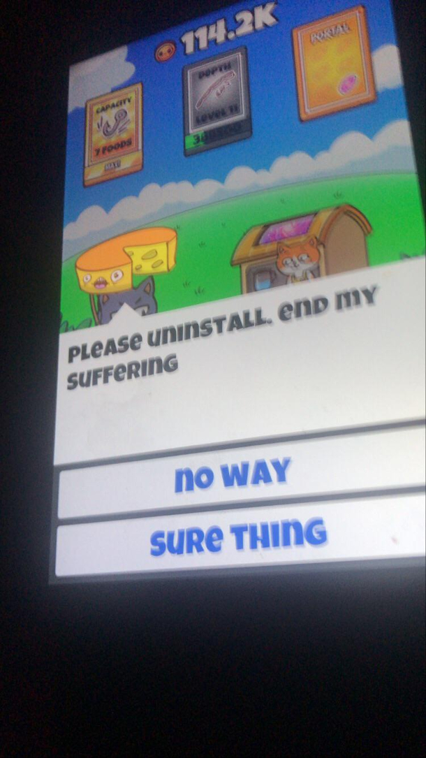 Saw this on my little cousins iPad I wonder what type of game it is