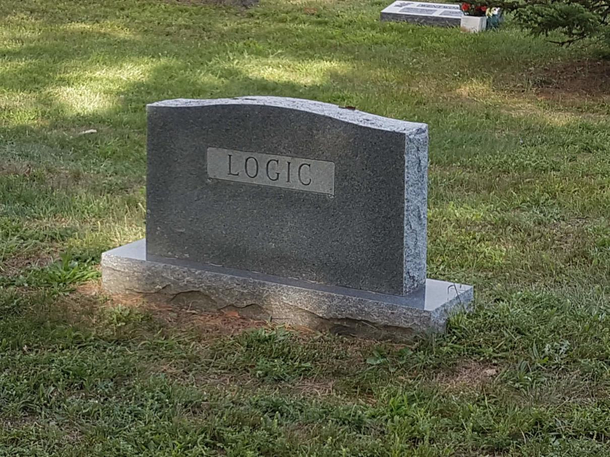 Saw this on my walk a few weeks back  is starting to make more sense