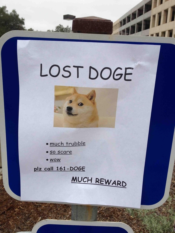 Saw this on my way to class this morning