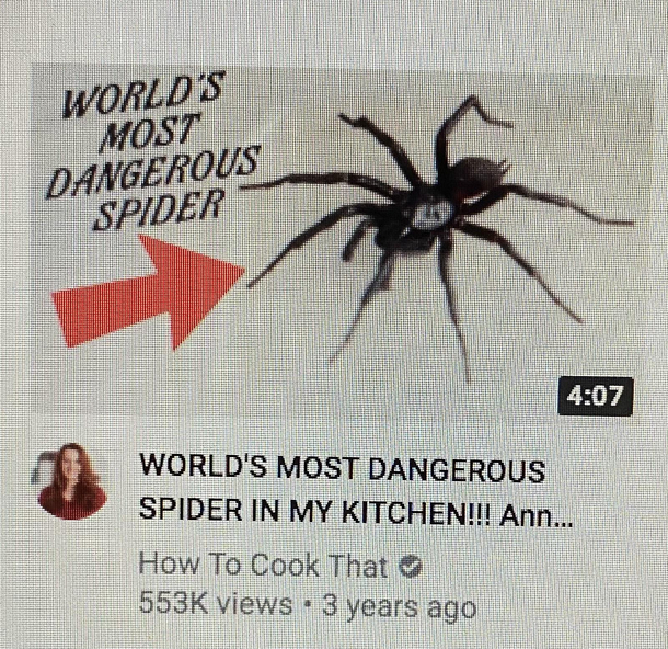 Saw this on my youtube recommended see the channel name