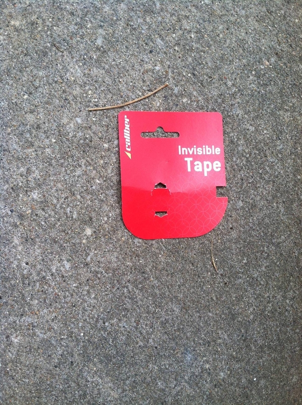 Saw this on the ground and it made me question reality