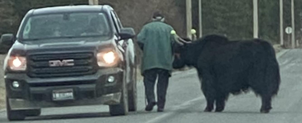 Saw this on the way home the other day